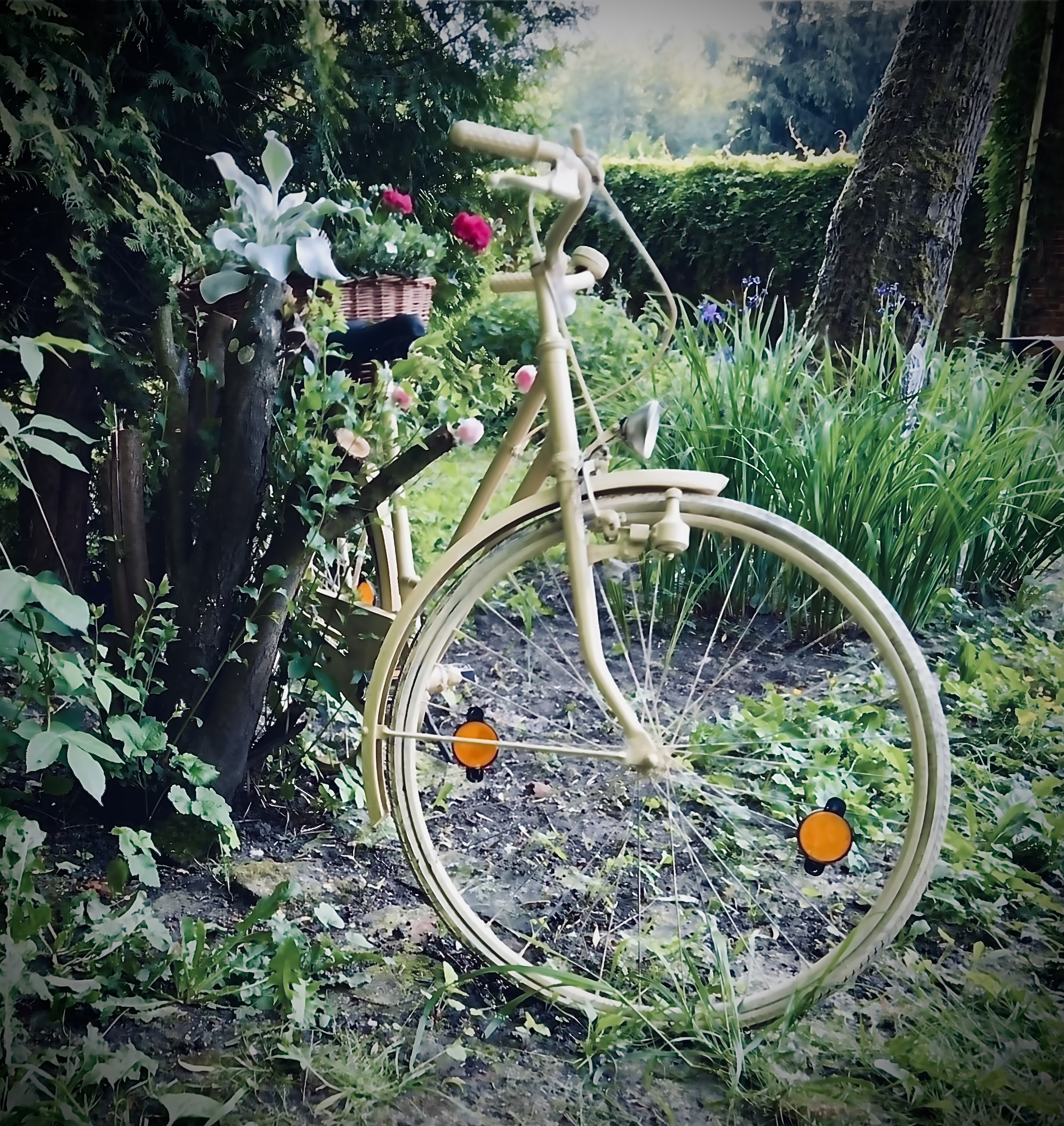 Stary młyn – baza noclegowa